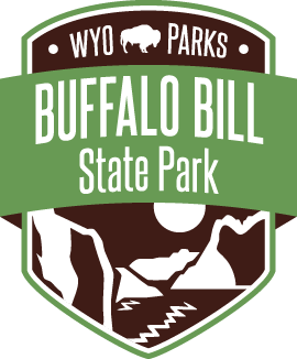buffalo bills state