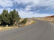 Georgia-Rowswell-Hot-Springs-State-Park